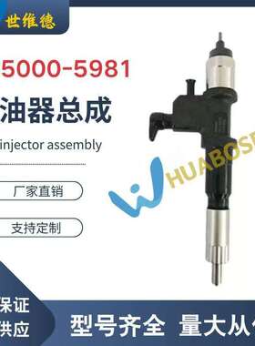 095000-5981喷油嘴总成 8-97603099-1现货供应优质货源