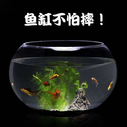 亚克力圆形鱼缸水族箱小型桌面乌龟缸家用迷你金鱼缸客厅一体成型