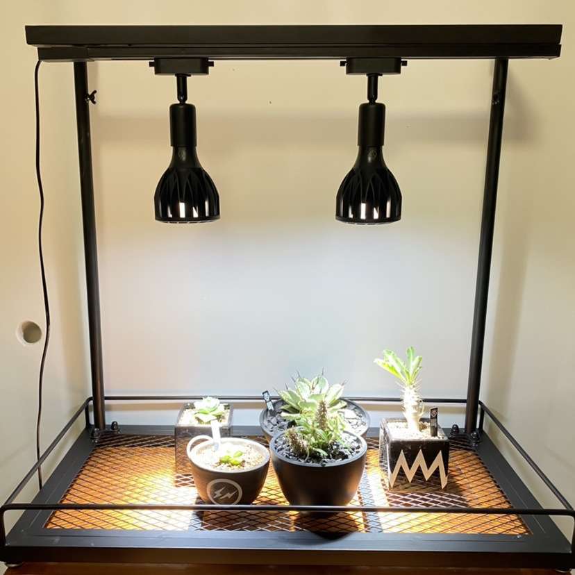 NBHD多肉花架可挂补光灯多层日式块根植物架盆栽花盆架子灯架