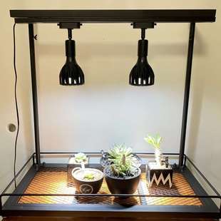 NBHD多肉花架可挂补光灯多层日式块根植物架盆栽花盆架子灯架