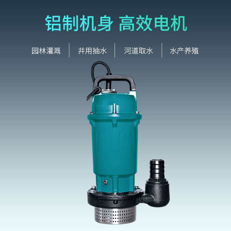 利欧潜水泵220v铁壳抽水机农用灌溉水泵家用井水抽水泵高扬程吸水