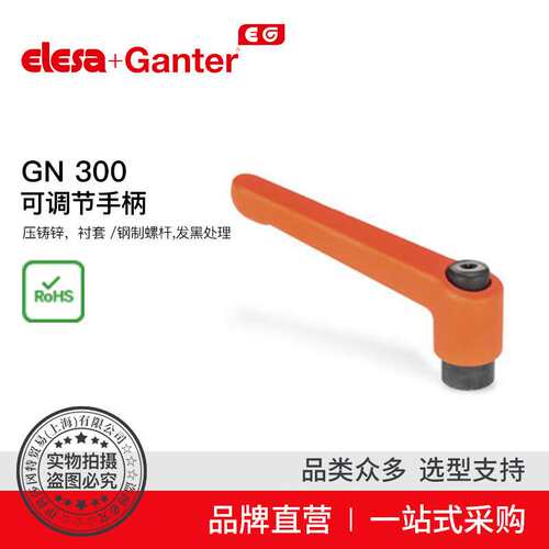 Elesa Ganter伊莉莎冈特 GN 300 可调节手柄 压铸锌（9）