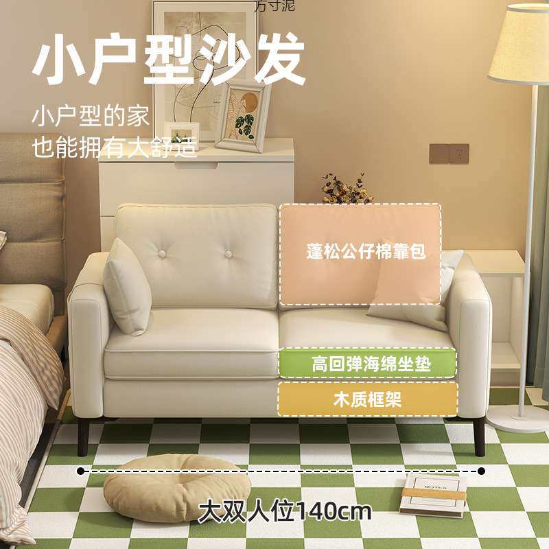 沙发客厅2025新款小户型现代简约布艺双人沙发出租房服装店小沙发