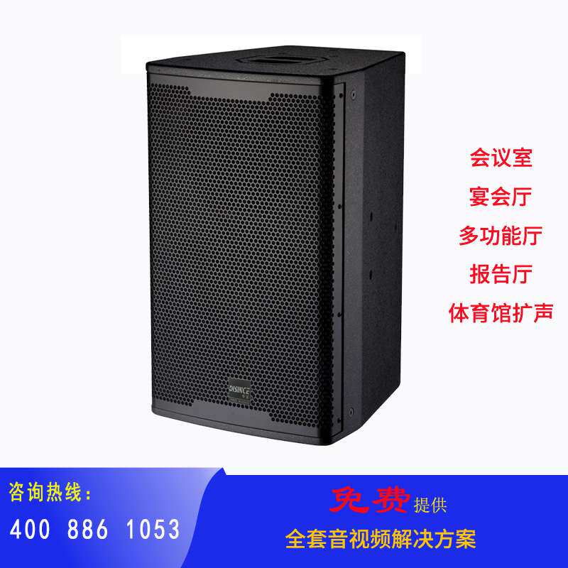 12寸娱乐音箱家庭宴会厅报告厅KTV影剧院扩声系统数字环绕立体声