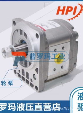 原装法国HPI高压齿轮泵P1BAN3050HL10B03N C5078176国产代替油泵