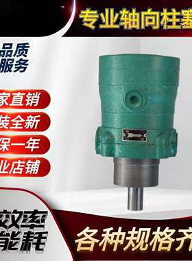 2.5MCY 5YCY 10MCY 25MCY  63MCY 80MCY 160MCY14-1B轴向柱塞泵