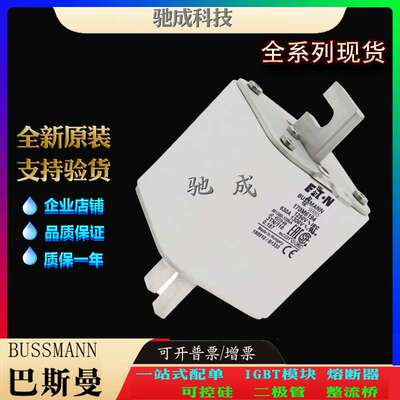 巴斯曼170M3739 170M3723 170M3740 厂价供应厂价直供 紧凑熔断器