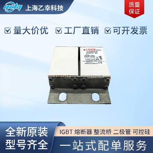 巴斯曼熔断器  170M1812 170M1813 170M1824 170M1825 170M1826