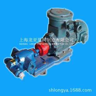 上海供应2CY齿轮泵 防爆齿轮油泵 不锈钢齿轮油泵