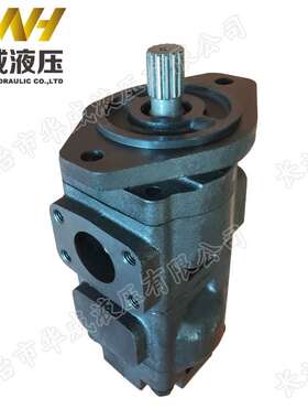 齿轮泵 20/912800  20/925339 20/925588 20/925356