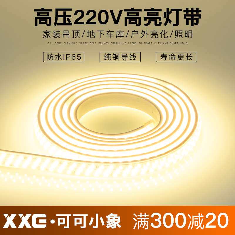 220V灯带led家用客厅吊顶装饰软灯条超亮三色变光户外防水软灯条