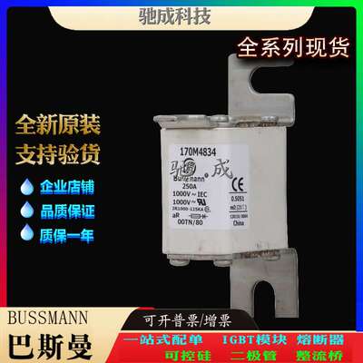 巴斯曼170M4834 170M4835 170M4770 现货供应厂价直供 低压保险丝