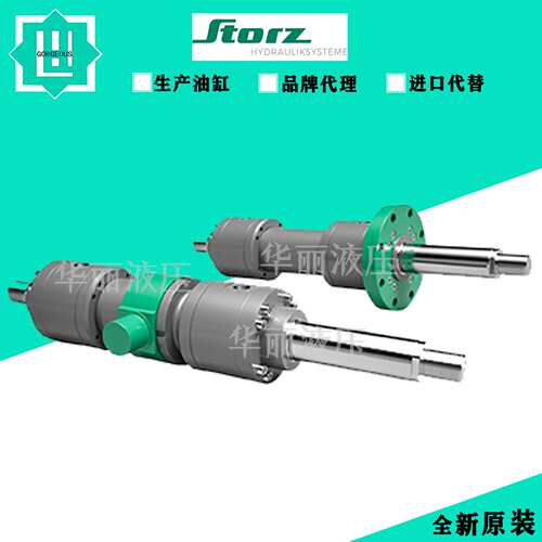 STORZ 液压缸 油缸 ZBD1611-40/28-MP6-250-R6-22-B1C-G11-E33.1