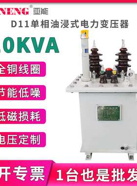 10kvD11单相油浸式电力变压器250/400杆上高低压配电变压器 10kva
