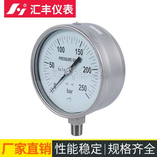 汇丰PSC-安全压力表 不锈钢压力表 厂家供应 量大从优250bar