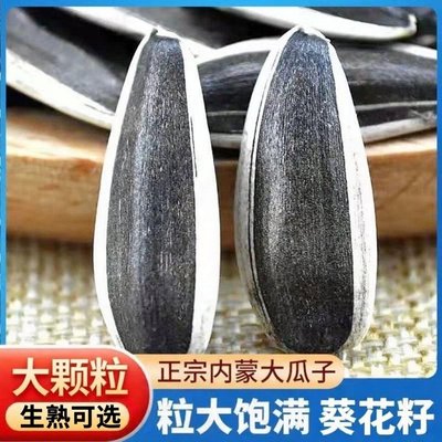 新鲜生瓜子原味瓜子新货内蒙古大颗粒葵花籽363薄皮瓜子现货5斤装