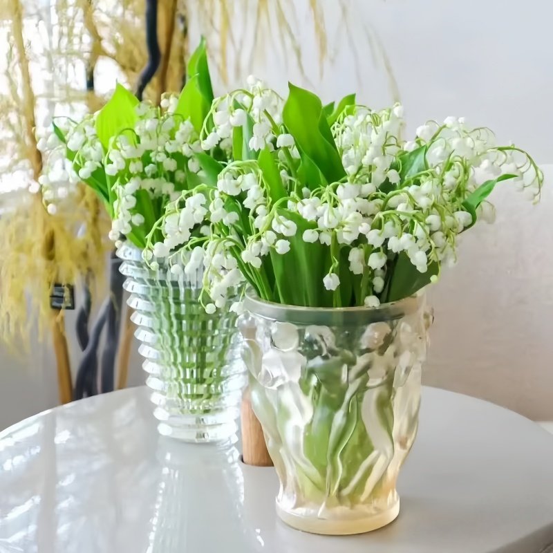 水培铃兰花苗植物带芽种根耐热耐寒浓香型好养易活花卉植物盆栽