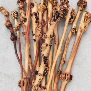 锤山玩锤子把树健身经络敲打背部锤木木茶穴位瘤木锤