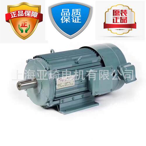 IFGEJ刹车电机 Three Phase Induction Motor