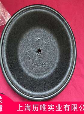 Versa-Matic威马气动隔膜泵E4AA1R119-B隔膜泵配件 库存充足