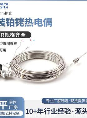 S型铠装铂铑热电偶WRPK-131  S型B型R型尺寸齐全耐温国标偶丝