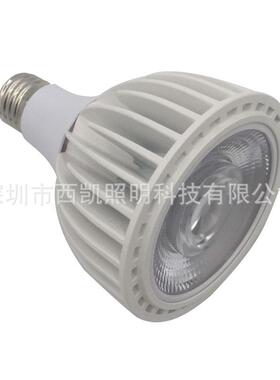 厂家压铸铝调光led par30 20W COB 110V 230V 轨道灯射灯灯泡