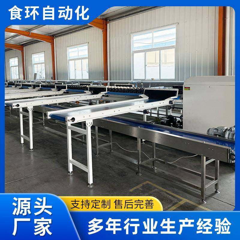 电脑智能检测选果机猕猴桃百香果水蜜桃分级机全自动电脑选果机,清洗/食品/商业设备,其他食品加工设备,淘宝优惠券,粉丝福利购,淘宝优惠卷