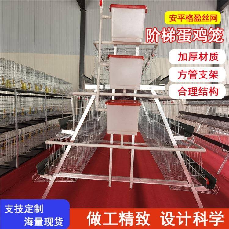 阶梯蛋鸡笼养殖设备三四层镀锌层叠式鸡笼自动喂料清粪源头厂家