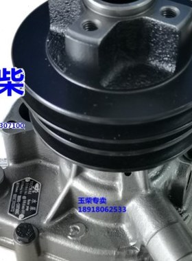 玉柴YC4B发动机原厂冷却水泵B8801-1307100C收割机拖拉机4108船电