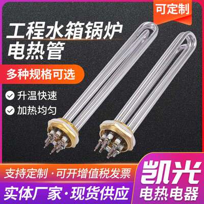 电锅炉电热管蒸汽锅炉蒸烫机加热管厂家 工程水箱加热棒