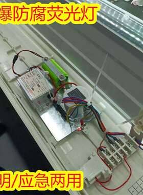 供应腾达双管防爆防腐全塑荧光灯照明应急两用型30wled灯