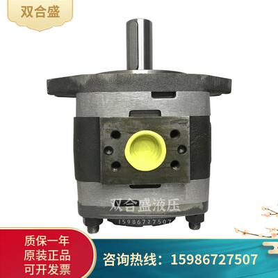 德国VOITH福伊特齿轮泵 IPV6/IPVP6/IPVS6-64/80/100/125-101高压