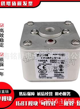 170M5499 170M5500 170M5644 170M5645 170M5646熔断器巴斯曼