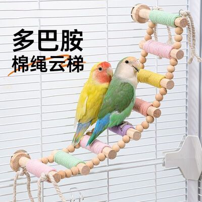 鹦鹉棉绳爬梯云攀爬秋千啃咬玩具站杆虎皮牡丹玄凤专用鸟笼子用品