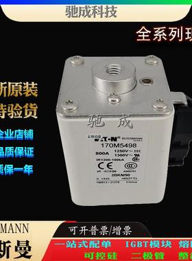 巴斯曼170M5498 170M5499 170M5500 销售供应零售 原装熔断器