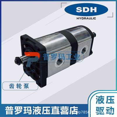SDH齿轮泵液压泵油泵CBD-F21.1/20.8FZ-CC CBD-F21.1/20.8FZ-CC