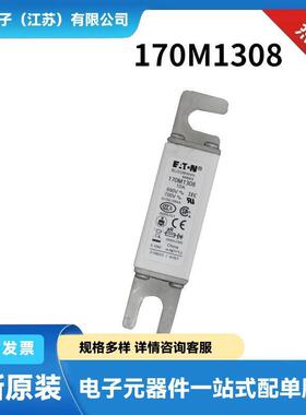 170M8640 170M8641 170M8642 170M8645原装直流熔断器 保险丝