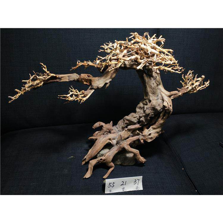 巴西树沉木莫斯树杜鹃根泰国枝水族箱造景鱼缸生命之树水草迎客松