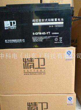 科华蓄电池12V65AH直流屏蓄电池EPS应急电源6-GFM-65-YT科华精卫