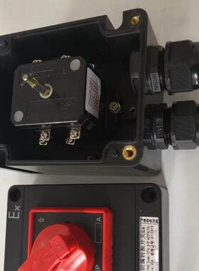 防爆防腐转换开关 -X350 NZC81-A2D2L BLX51