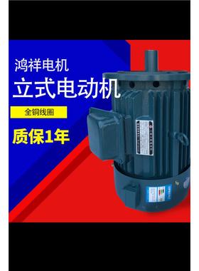 浙江瑞安鸿祥力矩电机YLJ100-132系列4级立式三相电动机