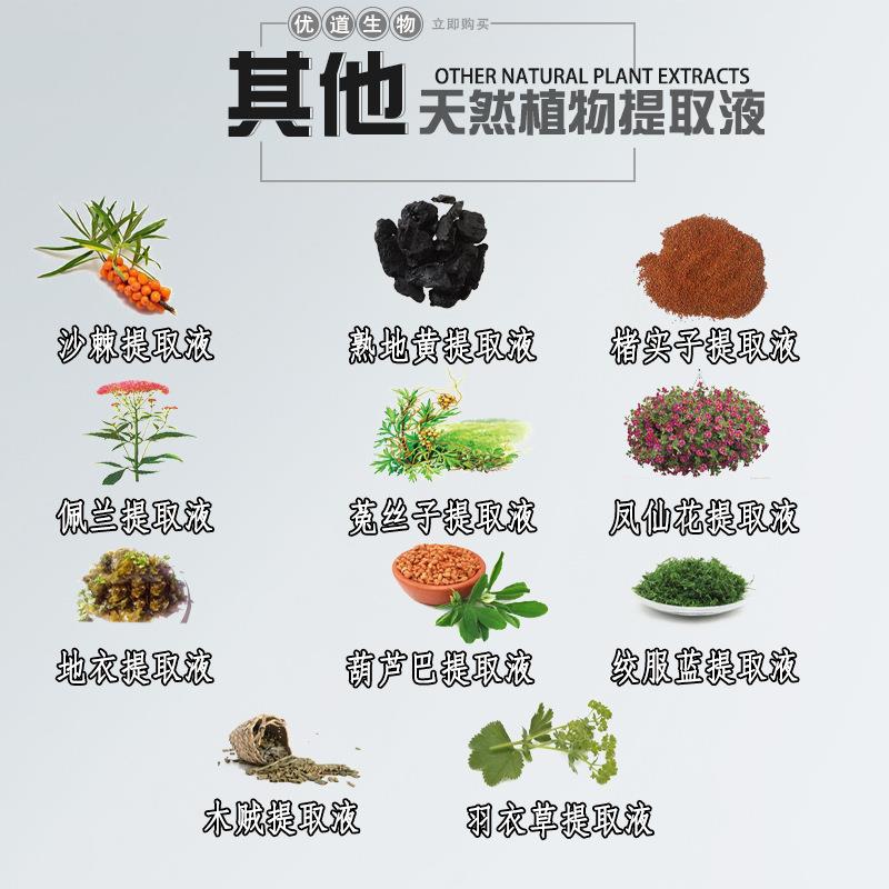 复活草提取物 复活草提取液 卷柏提取物卷柏提取液萃取液1KG