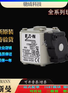 巴斯曼170M3559 170M3560 170M3561 厂价直销批零兼营 方体熔断器