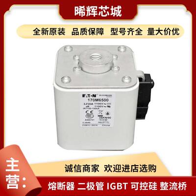 170M6511 170M2041 型号齐全 标准封装直流快速熔断器电子元器件