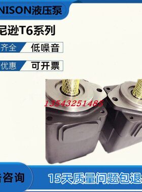 010T00-0-22/1000丹/6/6/11014030C0R尼逊/1/0807B油泵叶片泵3/-
