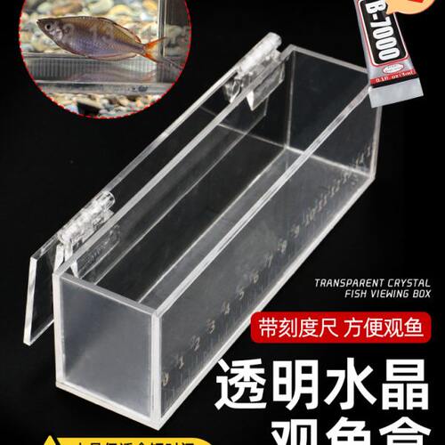 小鱼存放盒观鱼盒小物钓透明带刻度亚克力野采鳑鲏白条马口观赏盒