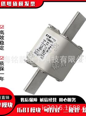 170M5952 170M5953 170M5954 170M5955巴斯曼熔断器170M5956