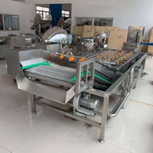 厂家供应芦笋气泡清洗机 全自动果蔬清洗设备 不锈钢茭白清洗机