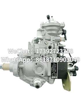 高品质油泵总成 22100-1C380 VE6/10F1900RND417 196000-4171