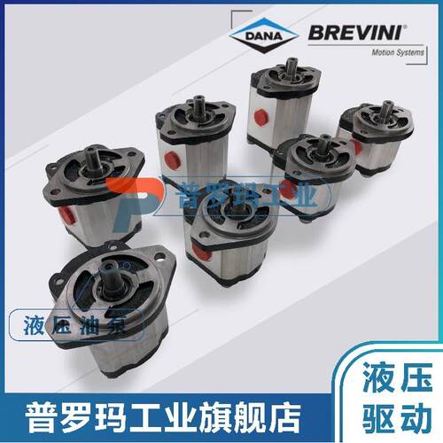BREVINI油泵OT200P08D/P28P2 G28 B25B2 B23 B25B4 B5 B24B6 B7